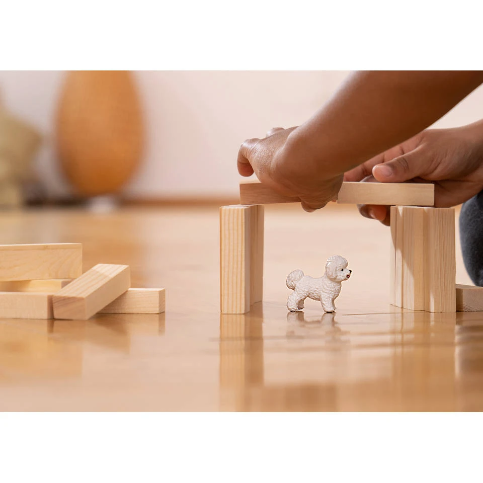 Schleich FARM WORLD Bichon Frisé 13963 2 Schleich FARM WORLD Bichon Frisé 13963 - Afbeelding 2